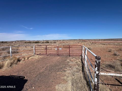TBD S Bourdon Ranch S - Taylor AZ 85939
