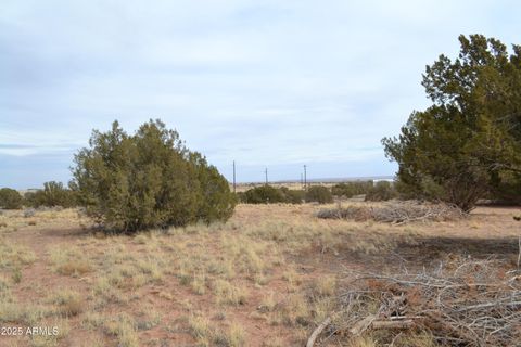 Lot 020D E 24th North Street 020D Snowflake AZ 85937