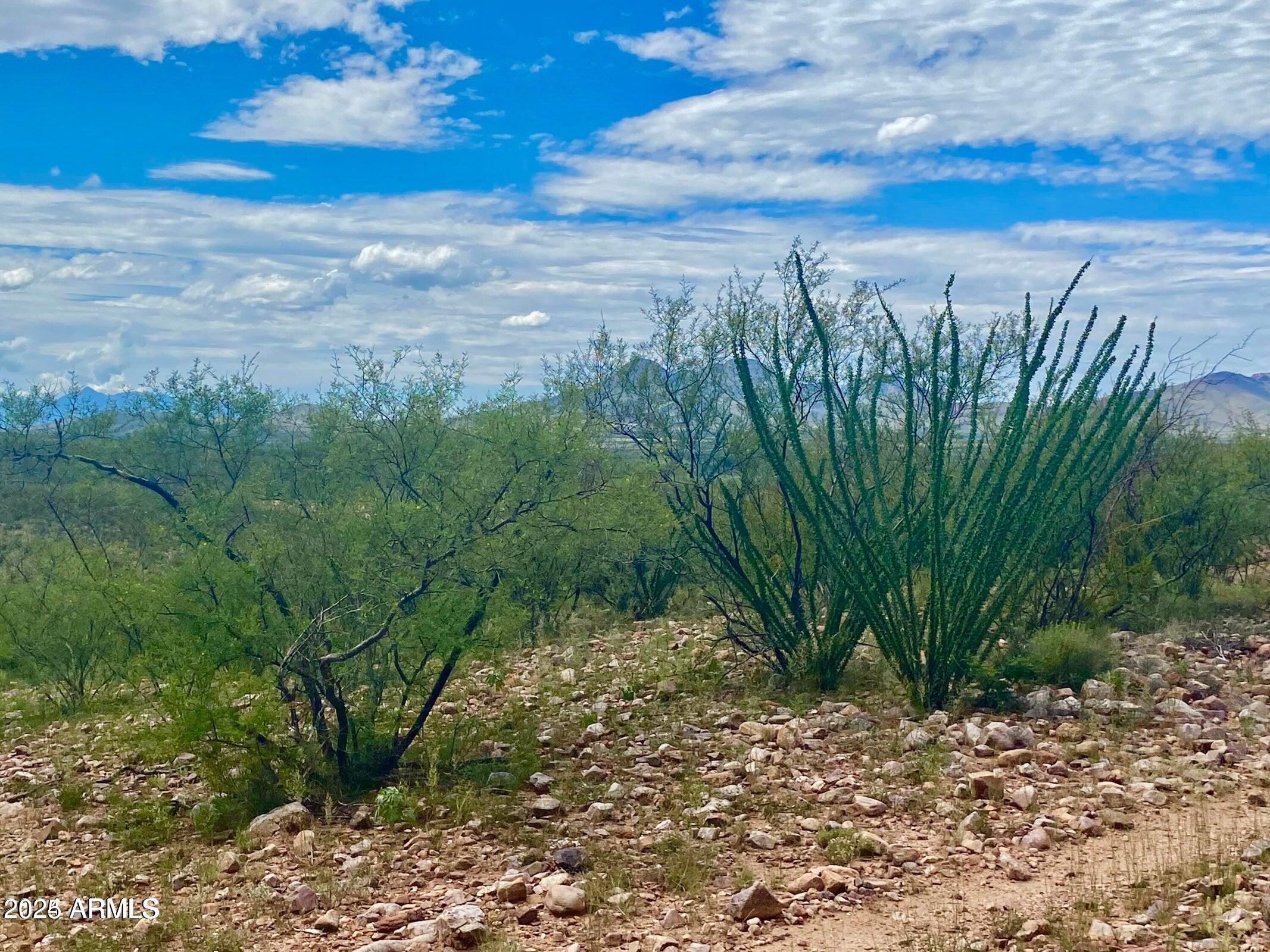 Lazy DS Ranch Estates - Land