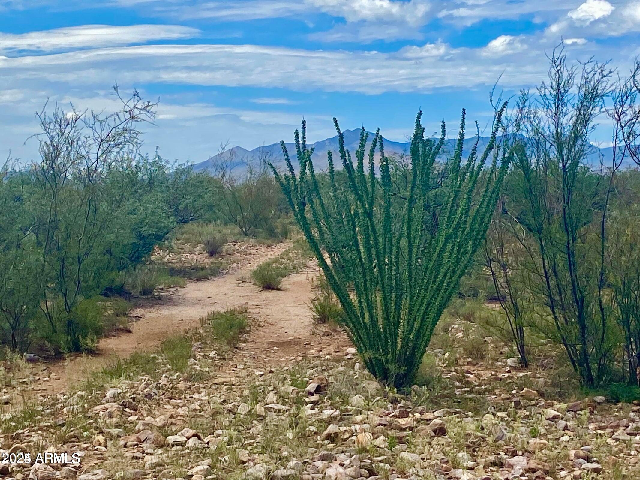 Lazy DS Ranch Estates - Land