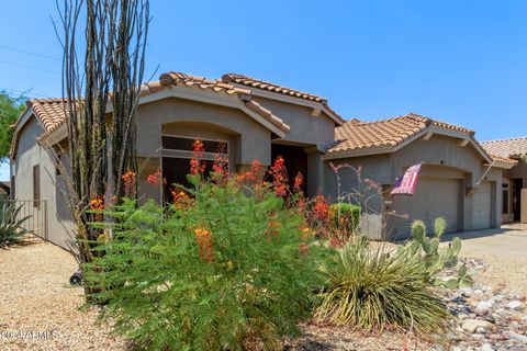 A home in Gold Canyon