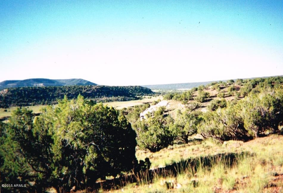 Photo 1 of 10 — 0 8579 Lot 156 Road 156, Concho, AZ 85924
