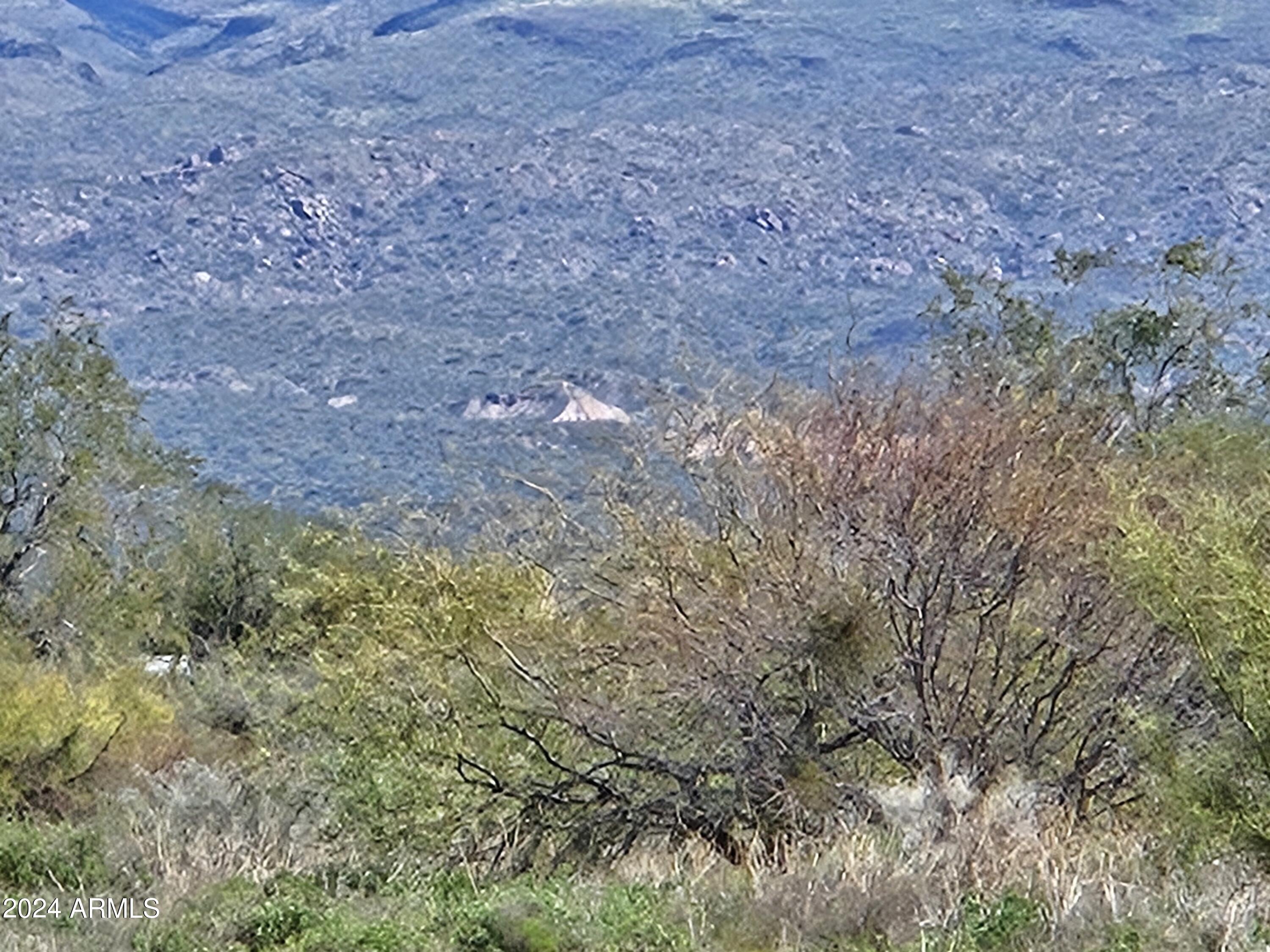 29113 N 164TH Street -