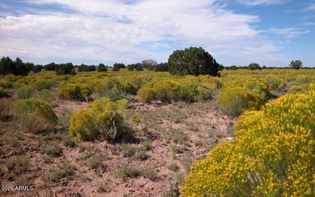 Properties 2 XXX N7393 -- -