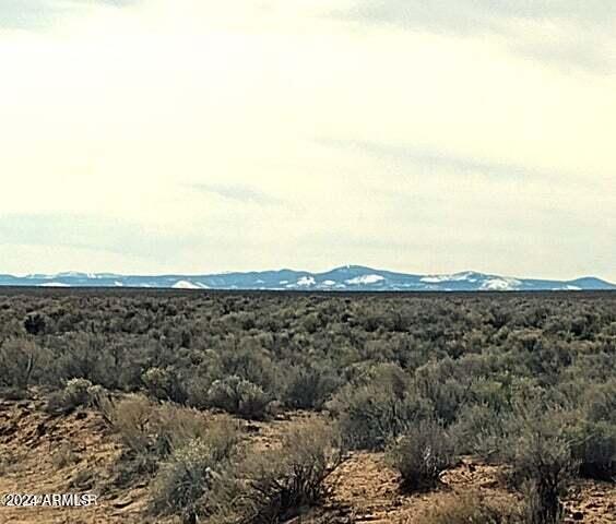 3 Lots in Carrizo Ranch -- 342, 346 & 347