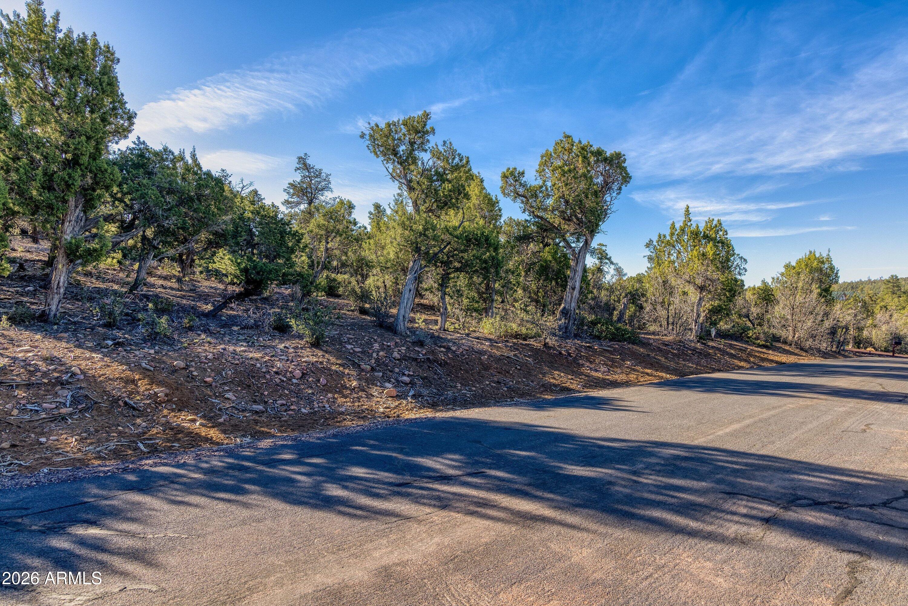 1611 S CANYON RIDGE Trail 67