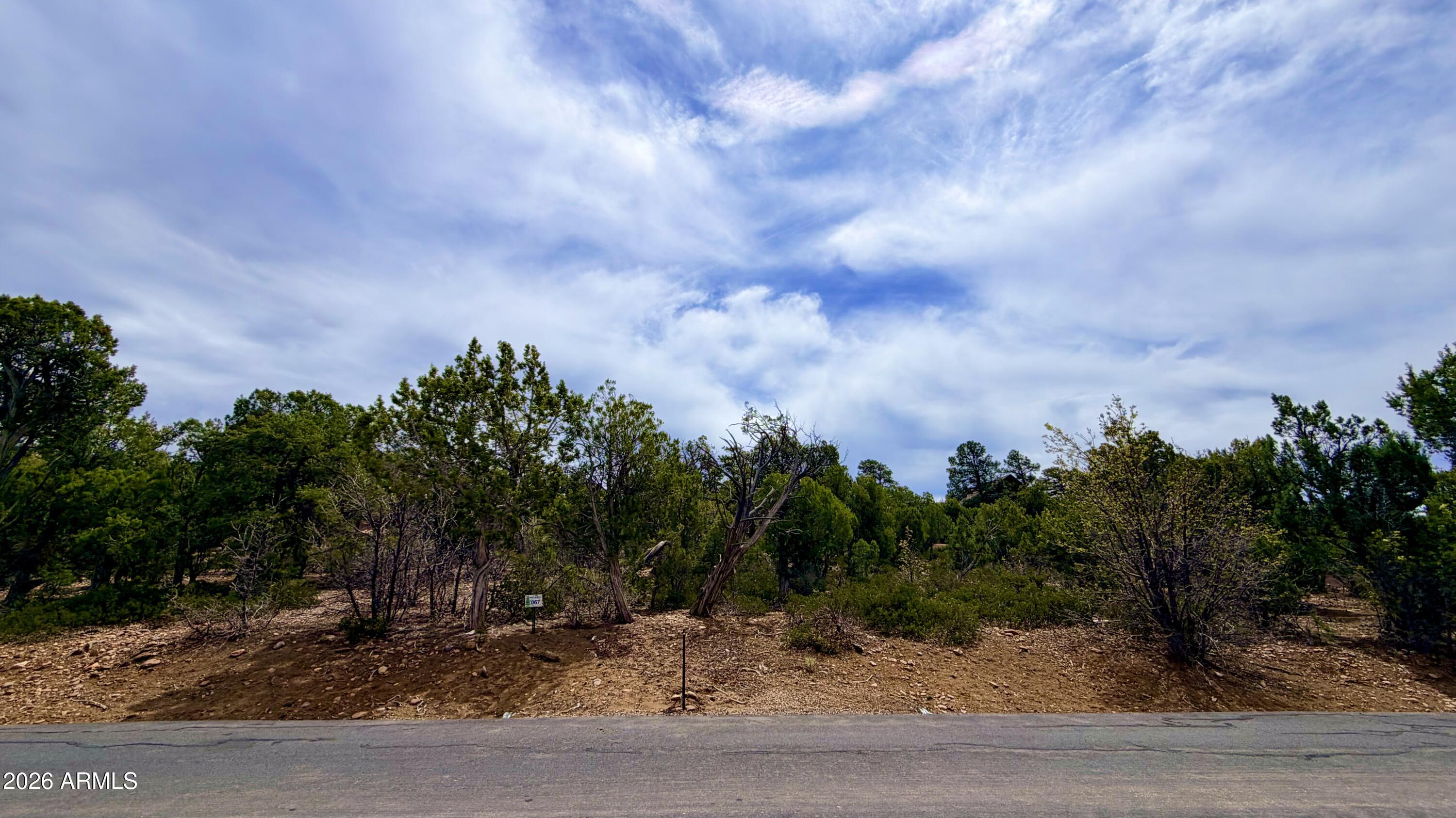 1611 S CANYON RIDGE Trail 67