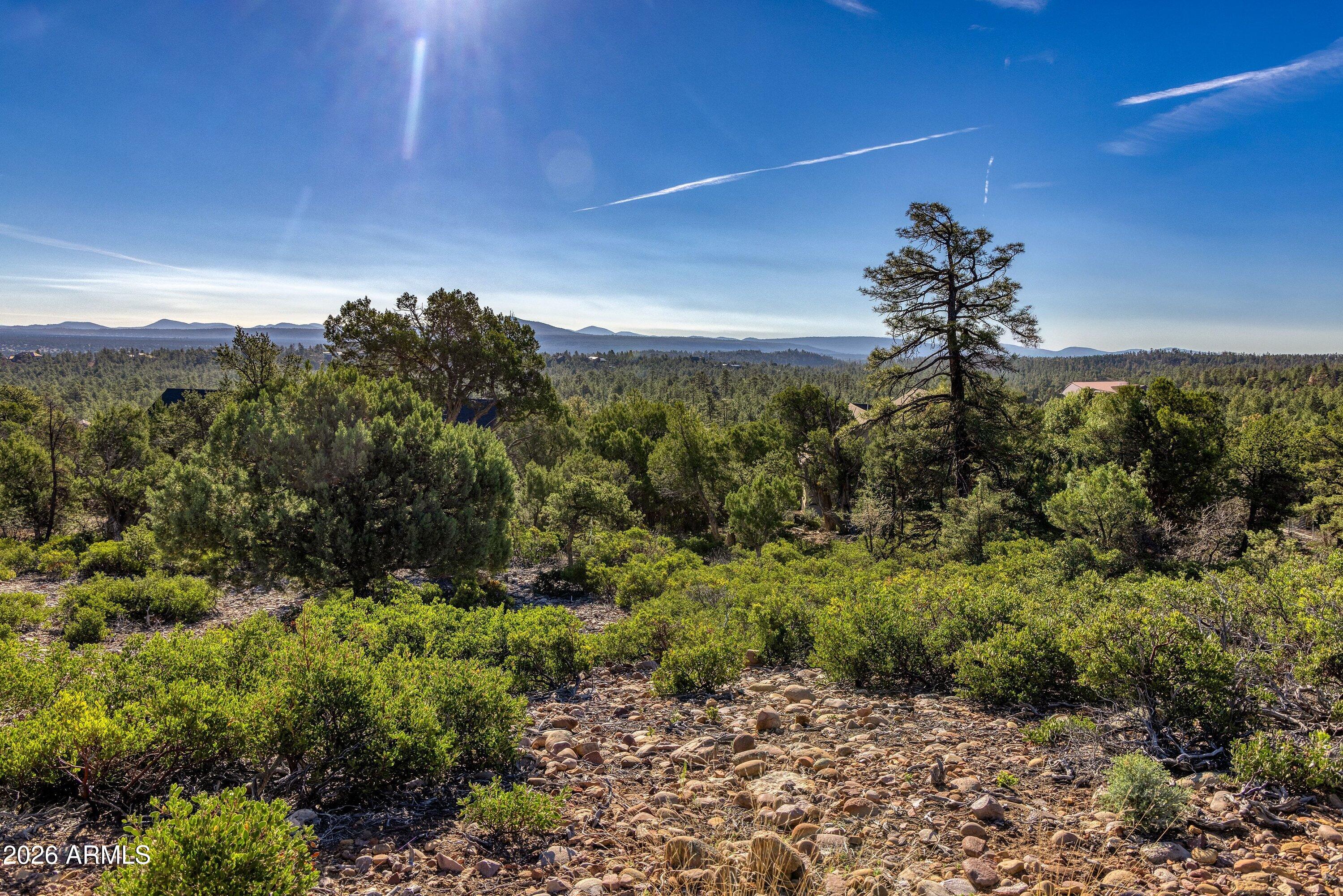 SIERRA PINES - Land