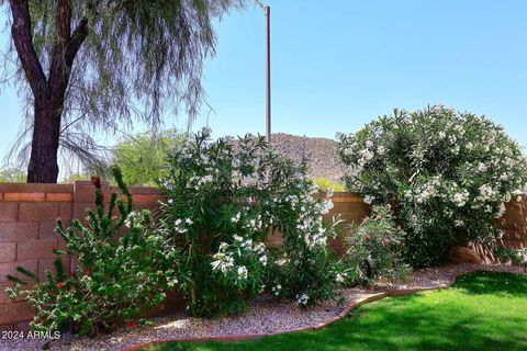 A home in Phoenix