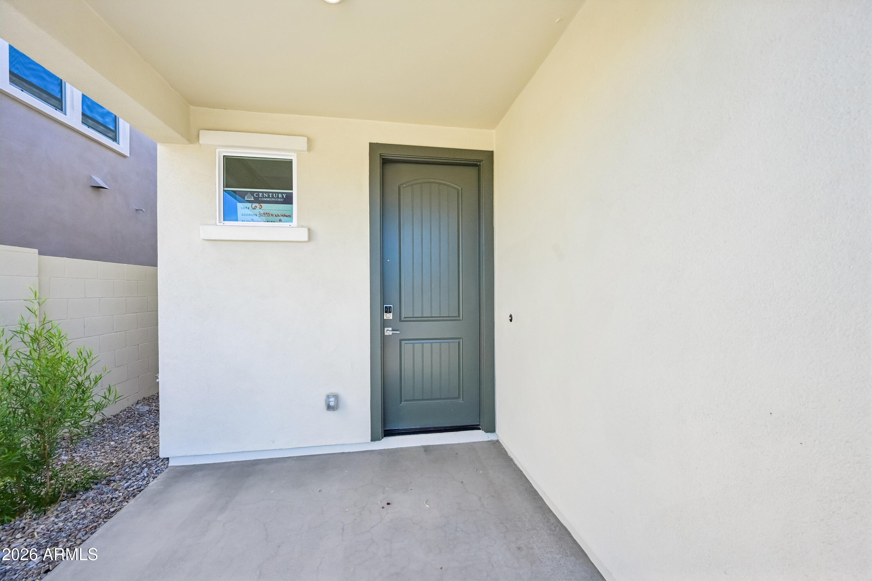 30495 W WHITETHORN ACACIA --