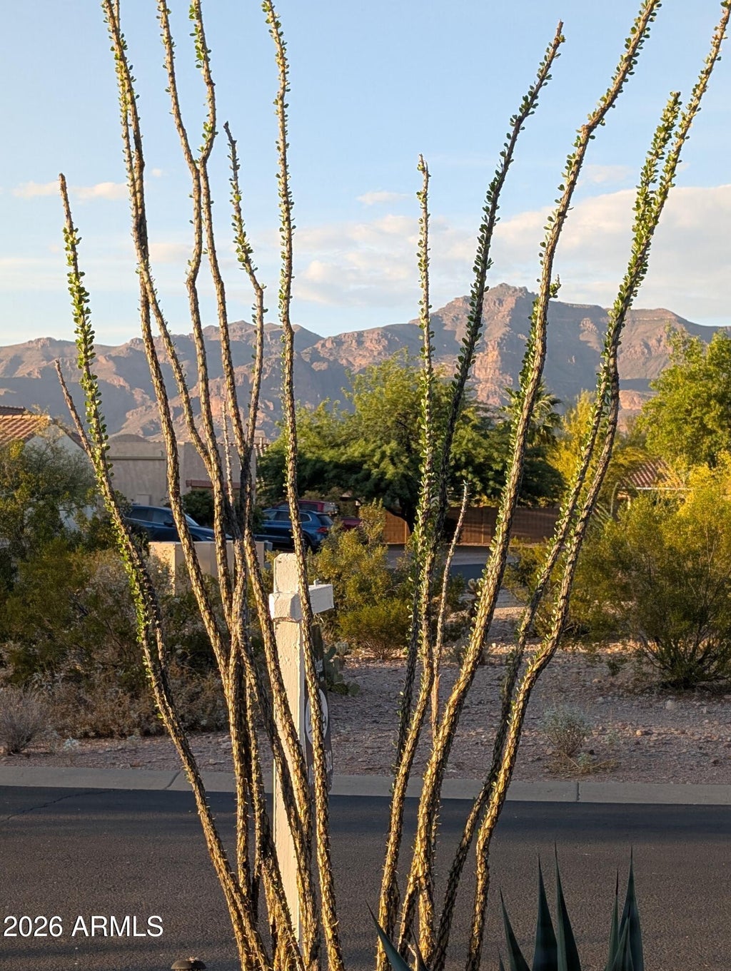 Photo of 10691 E Surveyor Court, Gold Canyon, AZ 85118 (MLS # 7062954)
