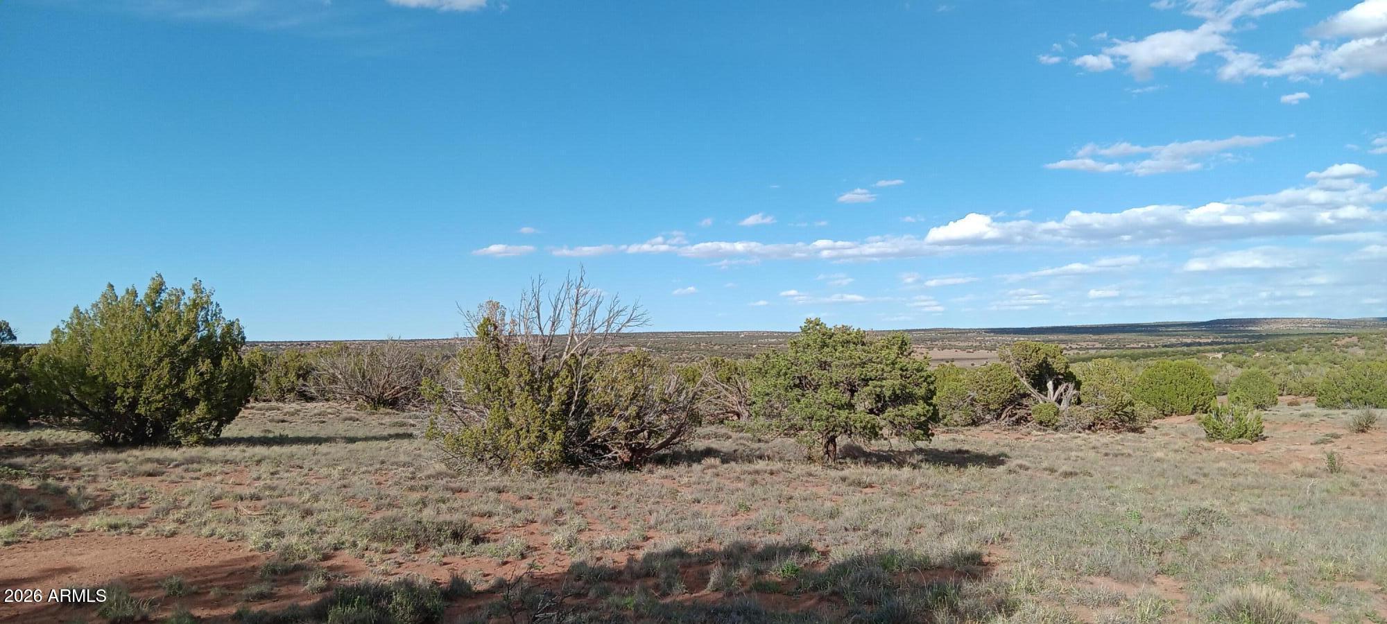 IDLEWILD RANCH - Land