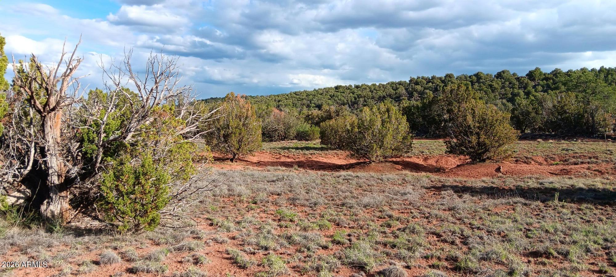 IDLEWILD RANCH - Land