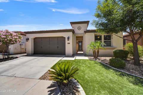 Single Family Residence in Queen Creek AZ 225 LIME Court.jpg
