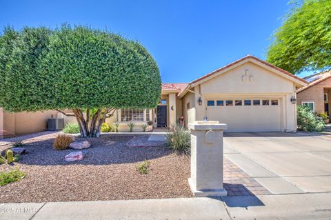 26210 S FLAME TREE Drive Sun Lakes AZ 85248