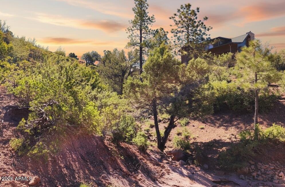 55 FOXTAIL Circle 55