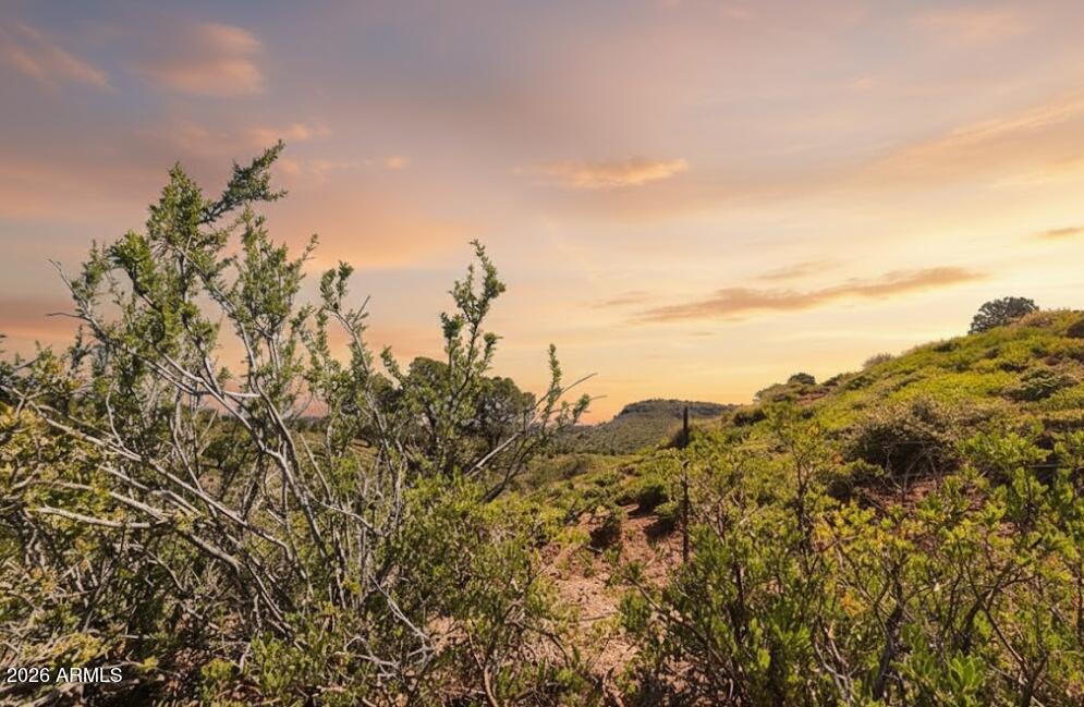 55 FOXTAIL Circle 55