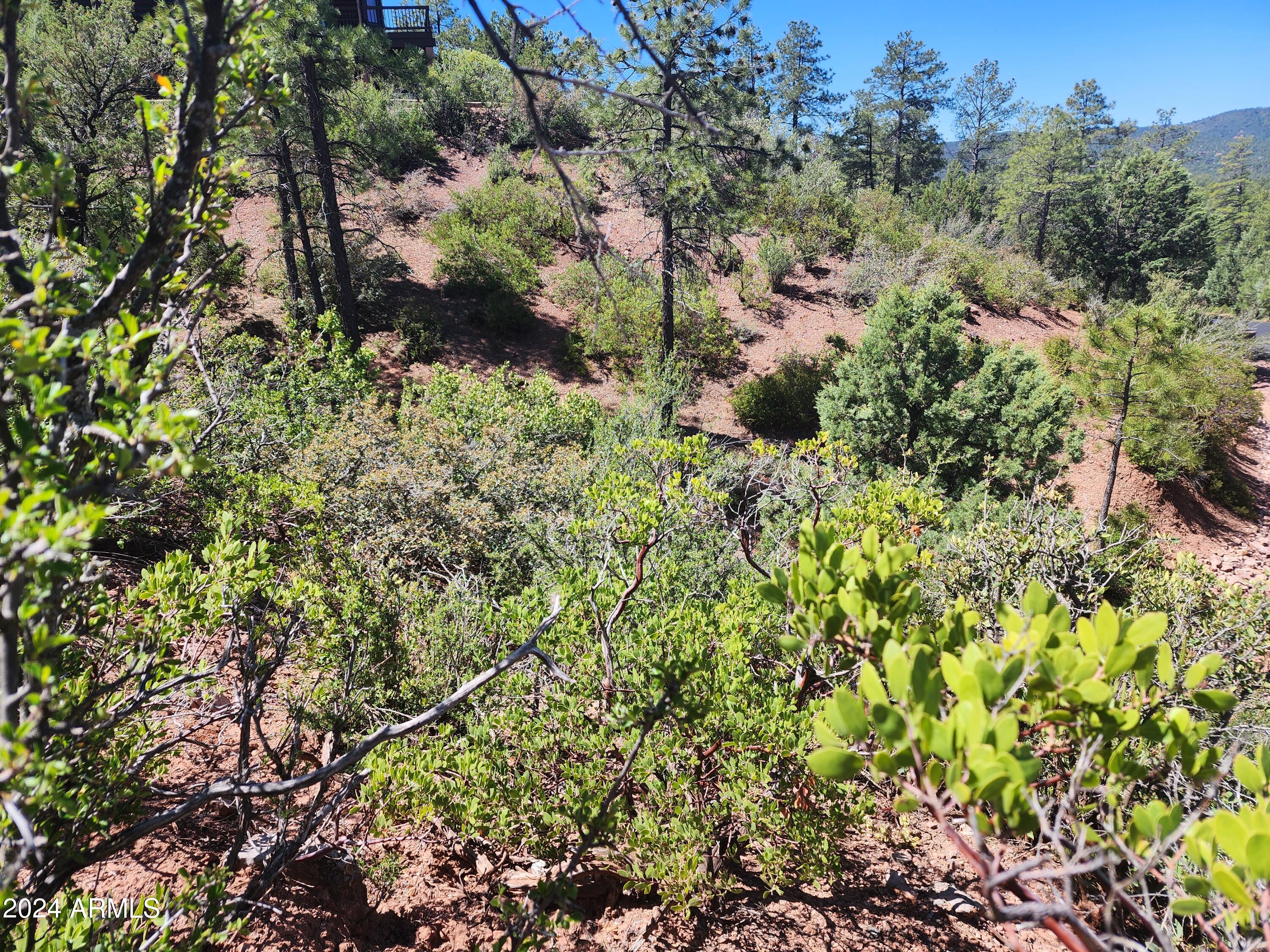 55 FOXTAIL Circle 55