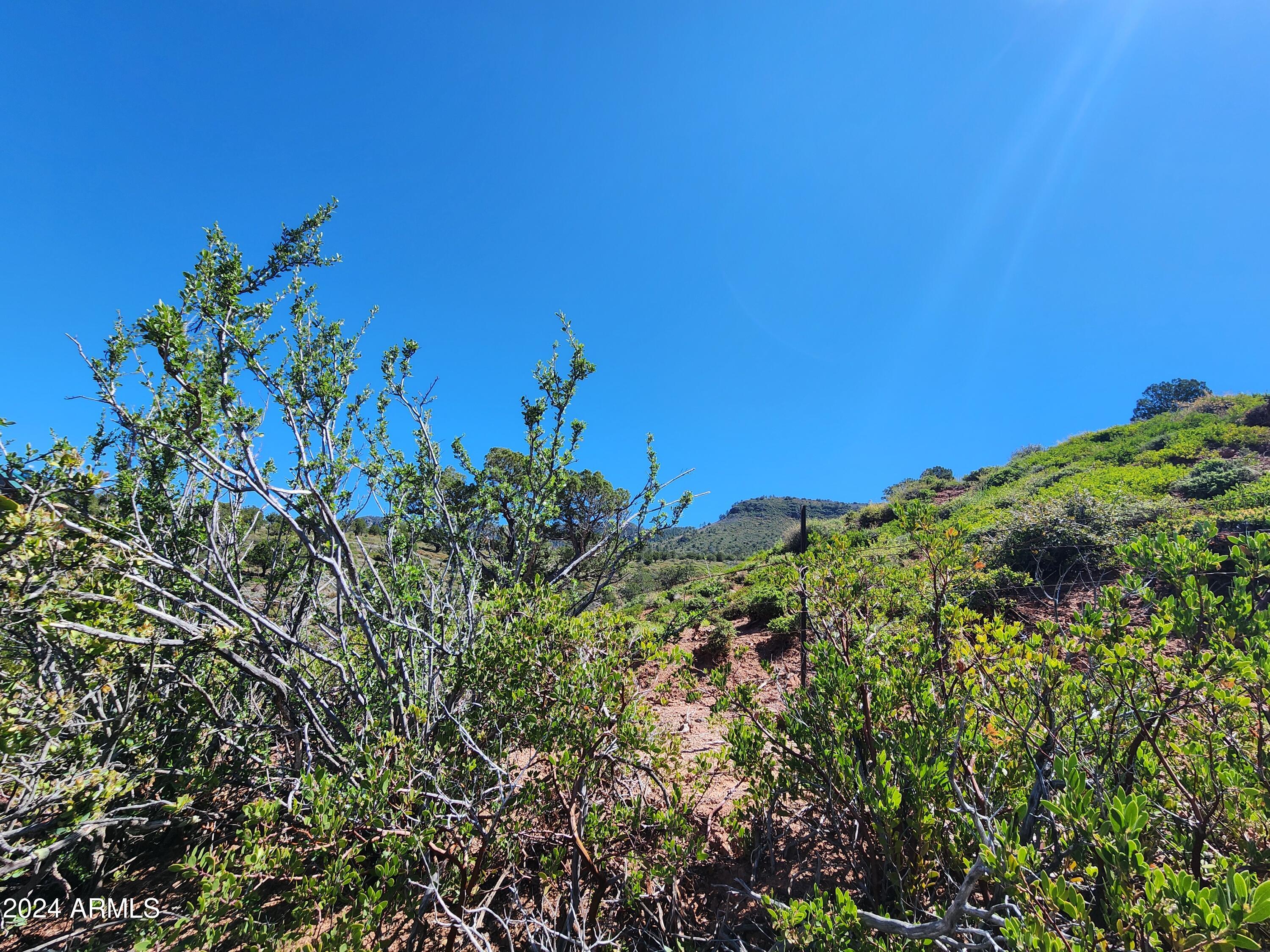 55 FOXTAIL Circle 55