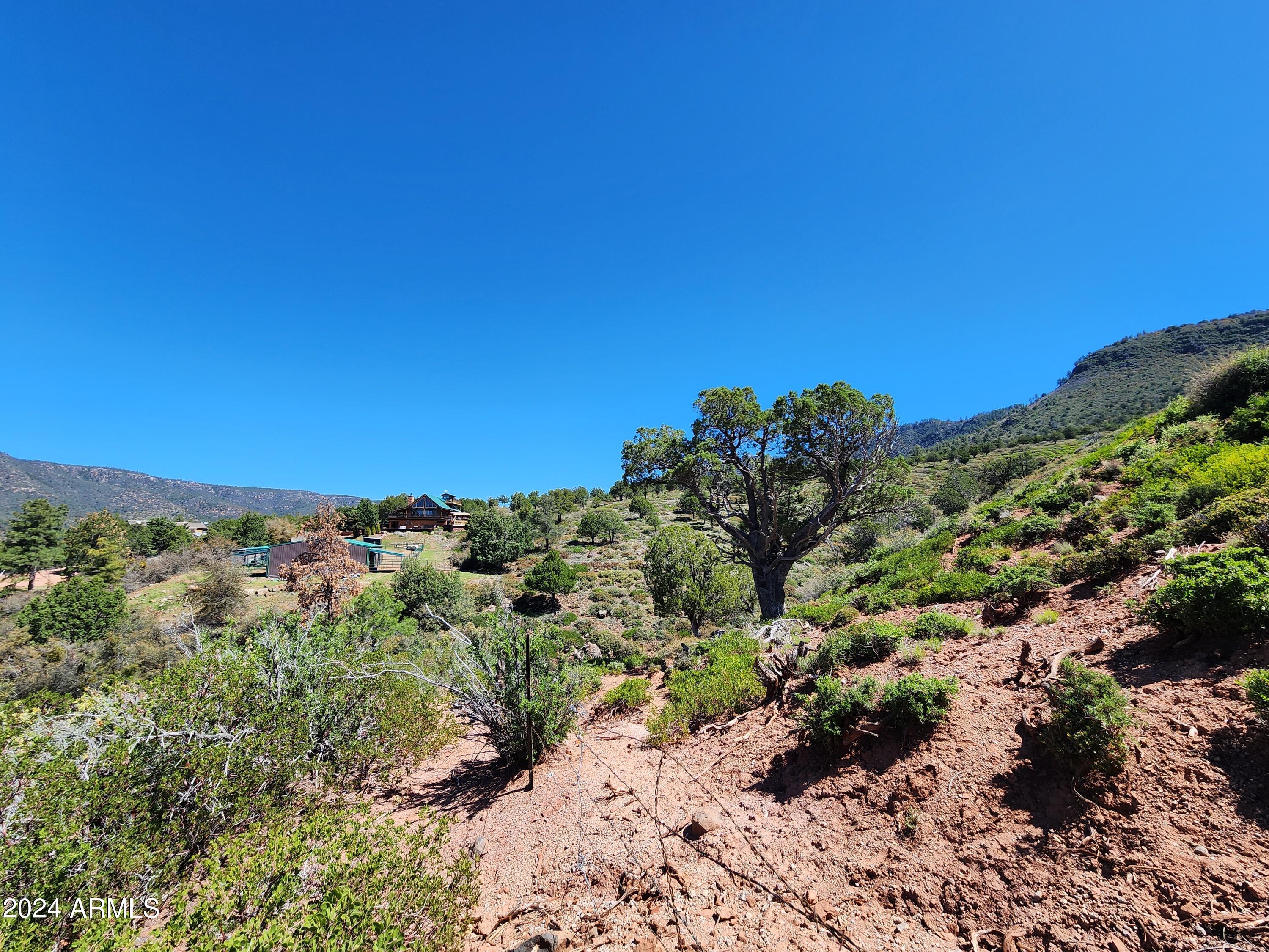 55 FOXTAIL Circle 55