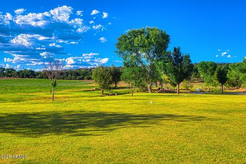 275 S BONITO RANCH Loop 25 Cornville AZ 86325