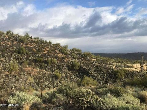 14024 E Coyote Way 42 Fountain Hills AZ 85268