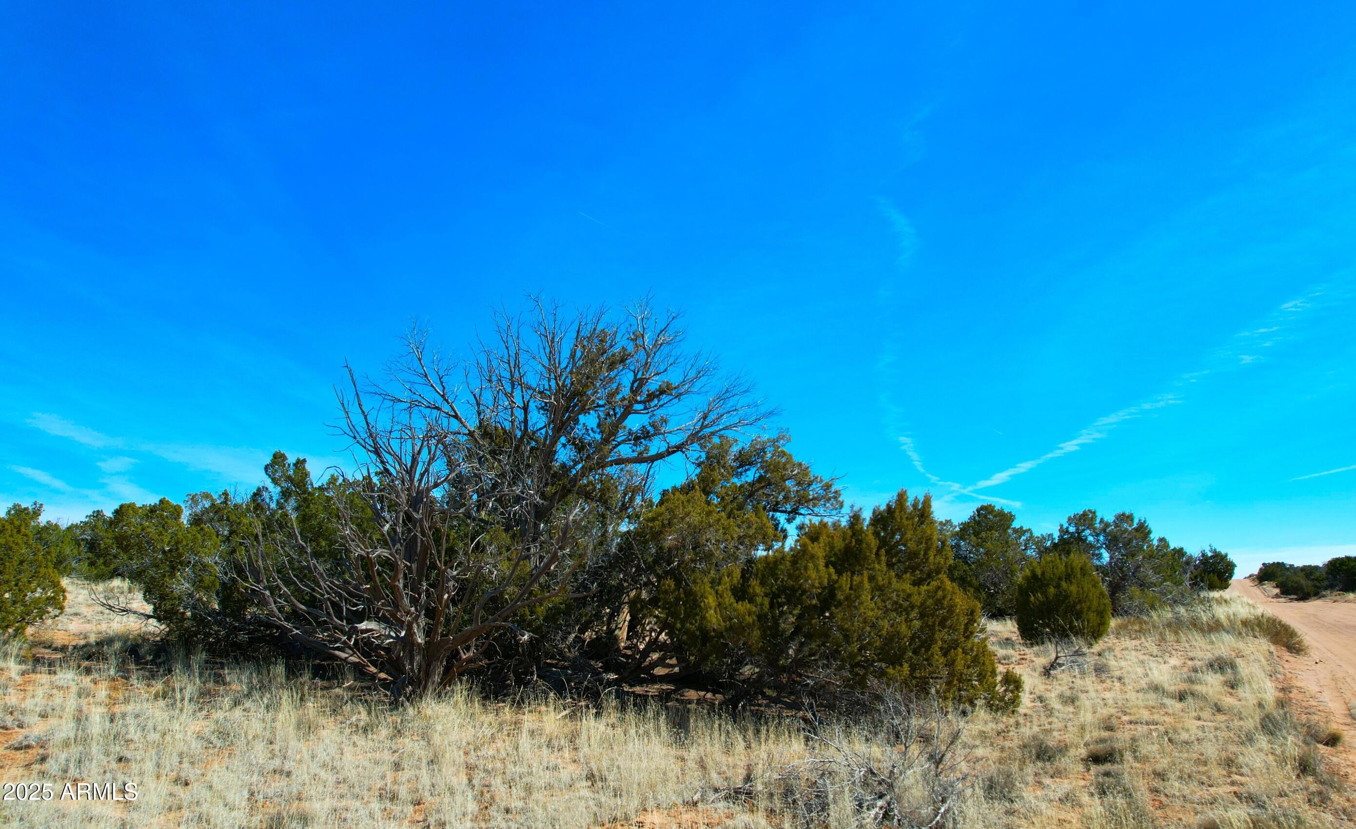 WITCH WELL RANCHES UNIT 2 - Land