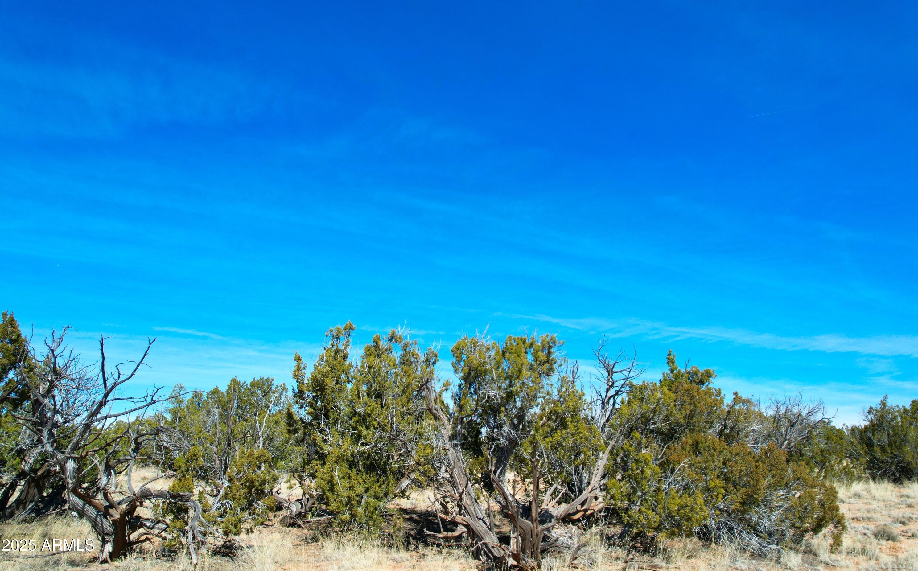 WITCH WELL RANCHES UNIT 2 - Land
