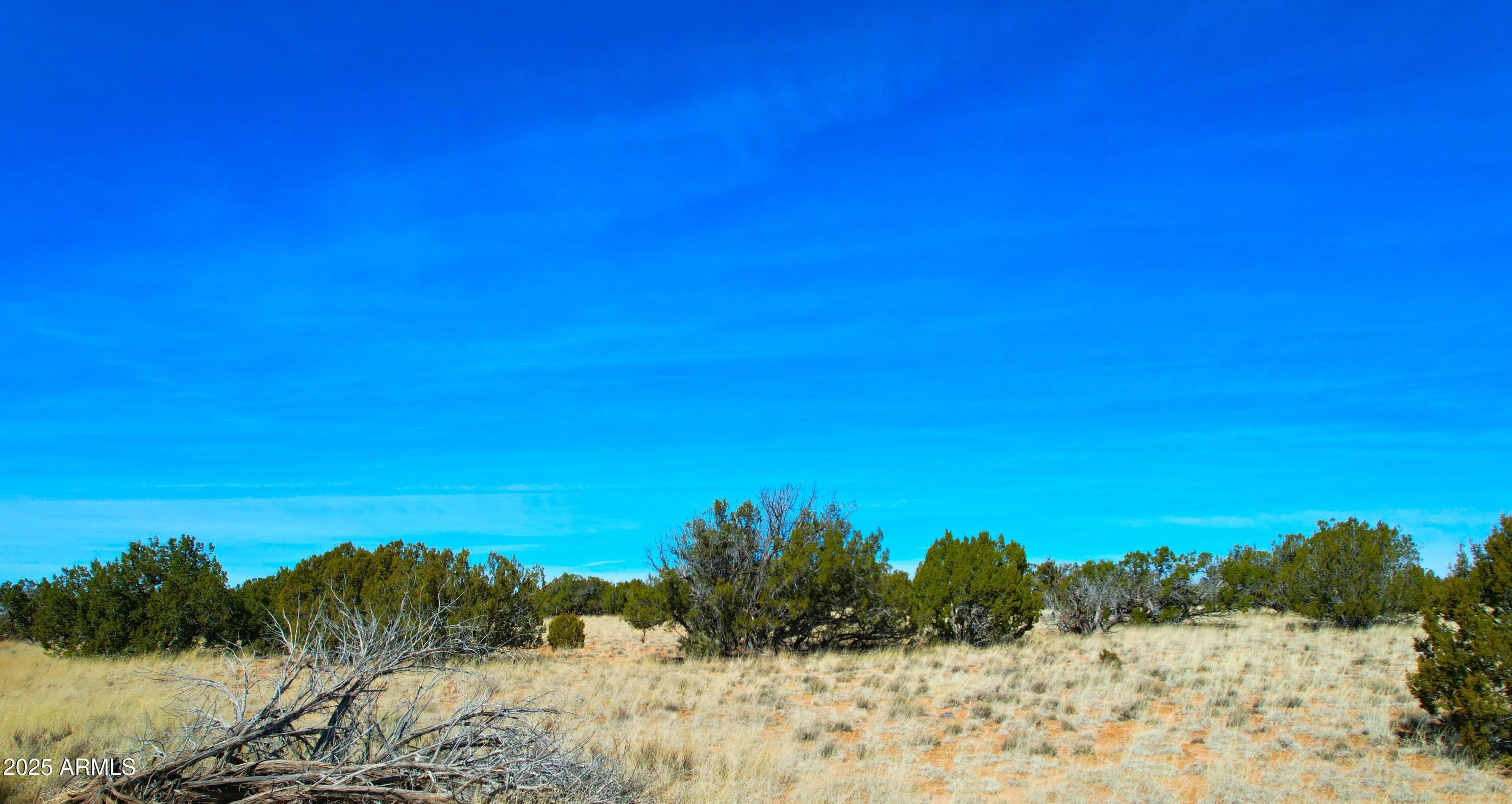 WITCH WELL RANCHES UNIT 2 - Land
