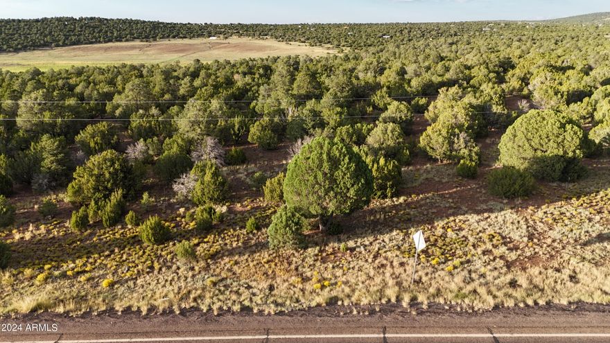 Large lot that could be residential or commercial buyer to confirm. Buyer to determine costs with acquiring access to US-60 from ADOT. Beautiful lot with tall mature pines in a great location. Large containment basin at NW corner of lot that has seasonal water. A strategically placed home may have 360 views, heavily treed with tall pinon pines and junipers. Seller is a licensed realtor in Arizona. 4wd is recommended, a few rocks on 3321, do not take hwy 60 to 3320 it is extremely rocky. There is a sign on the 60 but no access there.