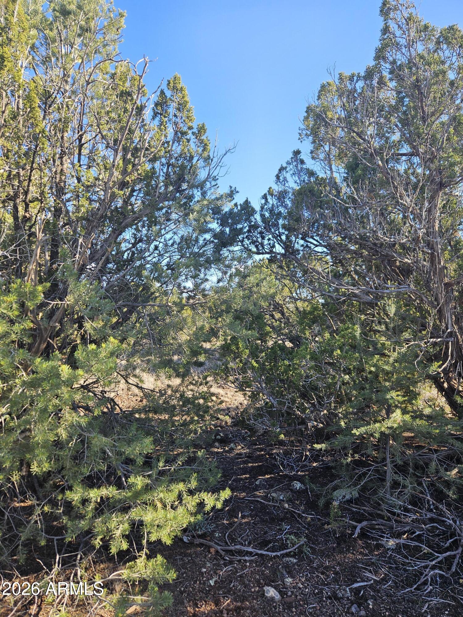 1856 Rainbow Circle -