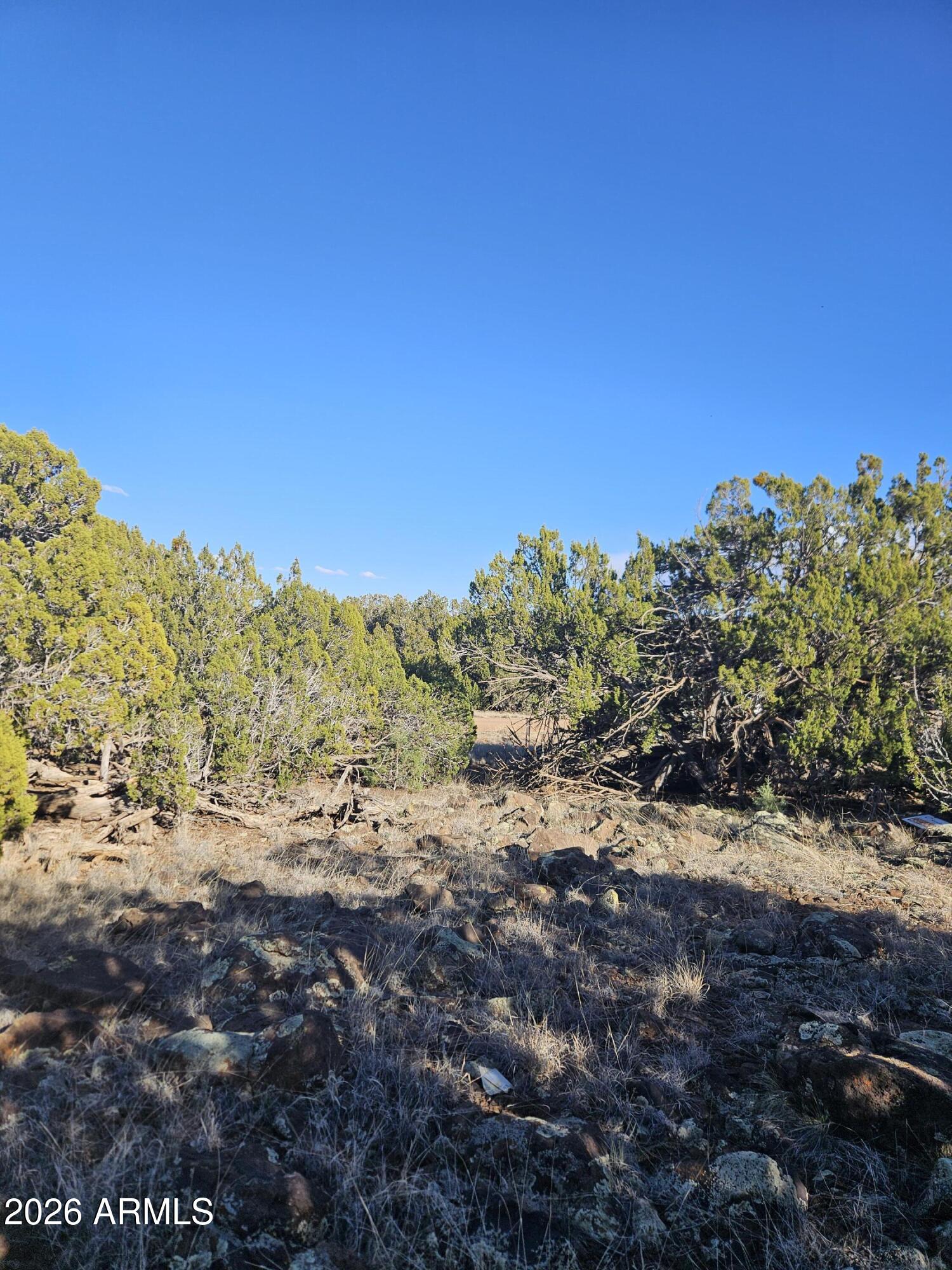 1856 Rainbow Circle -