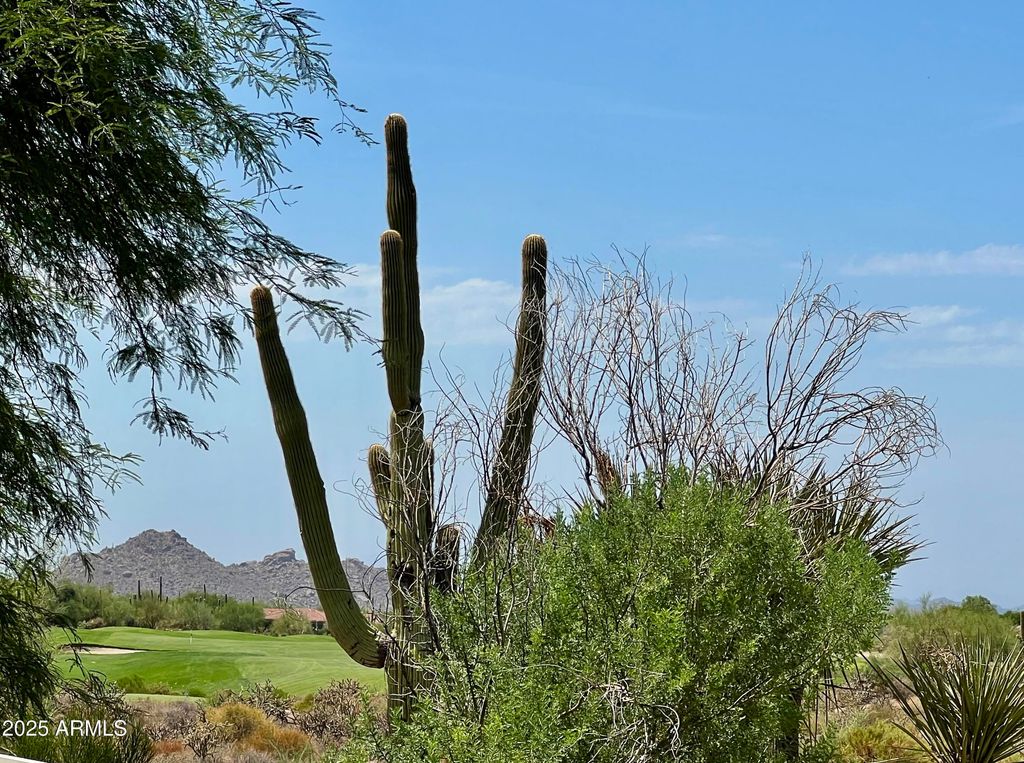 Photo of 9546 E Cavalry Drive, Scottsdale, AZ 85262 (MLS # 6910764)