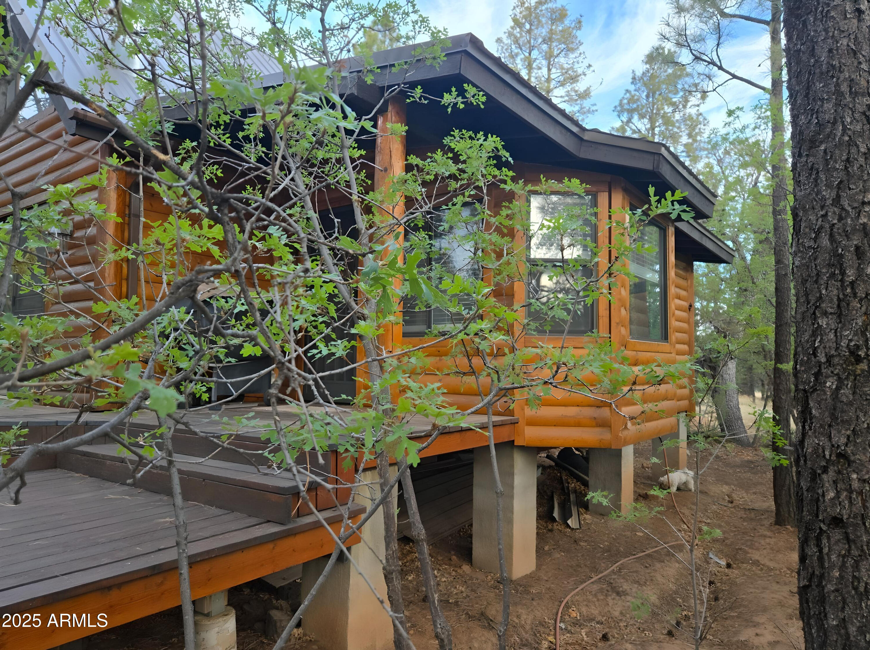 2028 JONES PASS --
