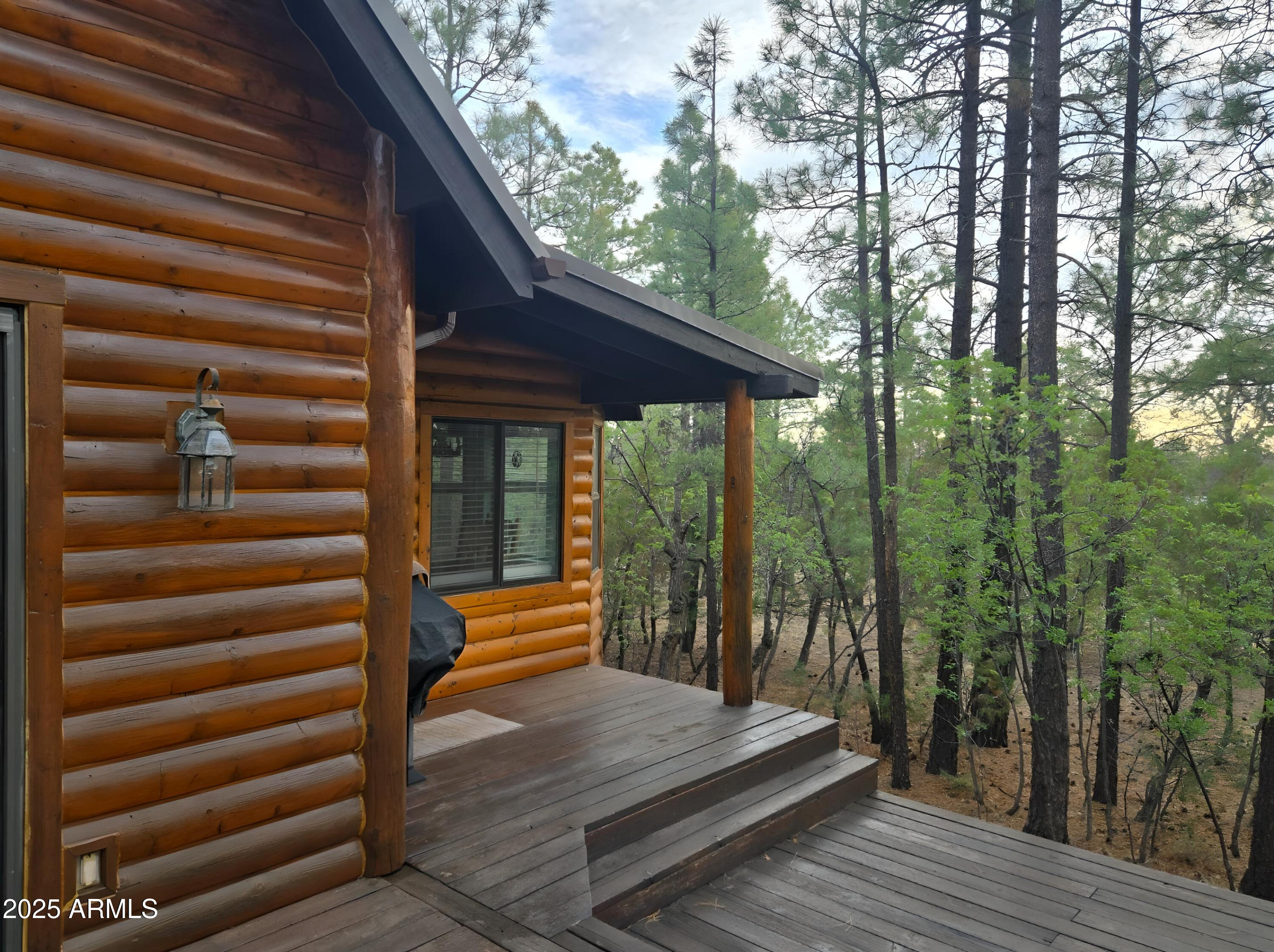2028 JONES PASS --