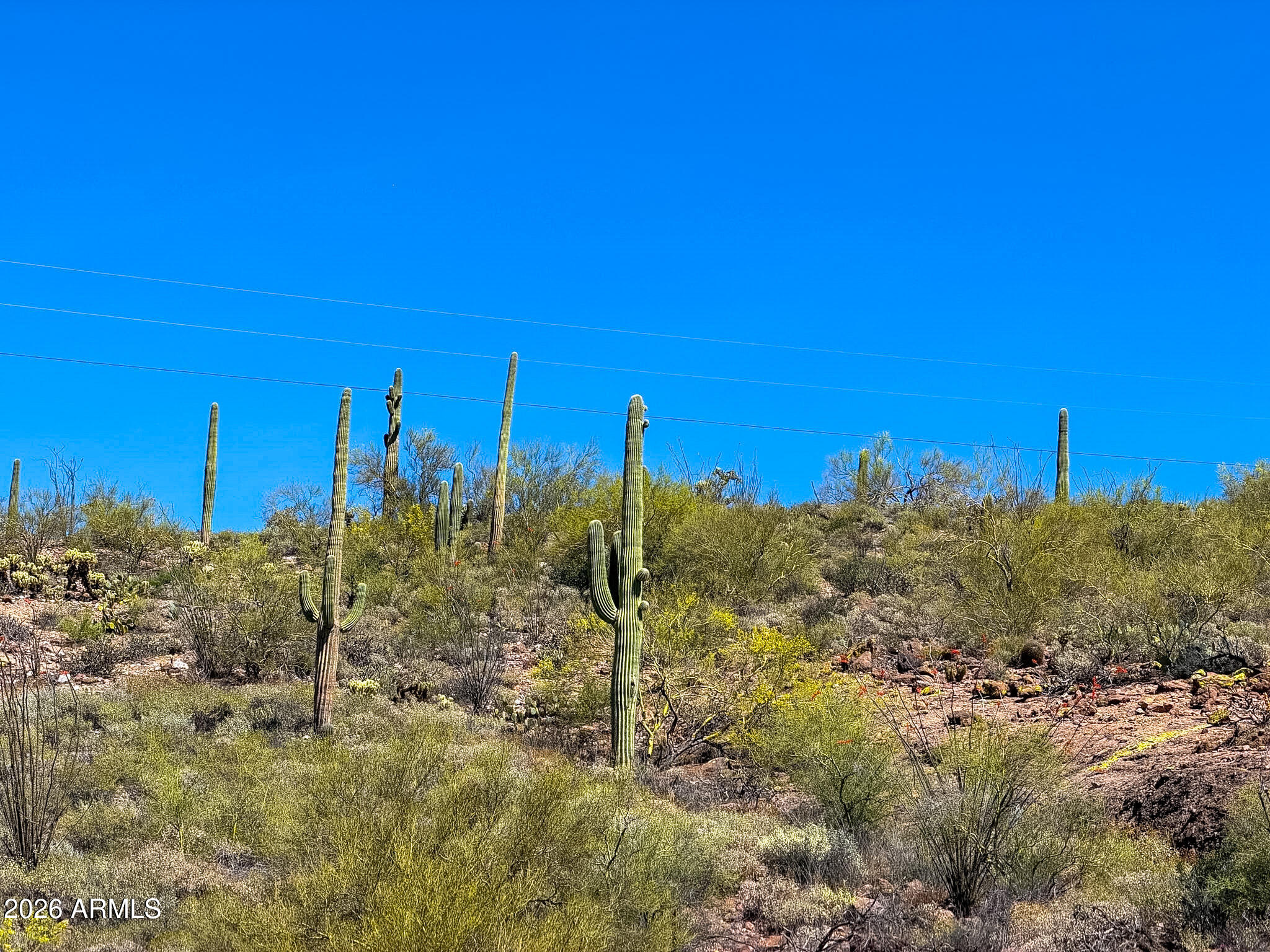 0 N ELEPHANT BUTTE RD 2 ACRES -- -