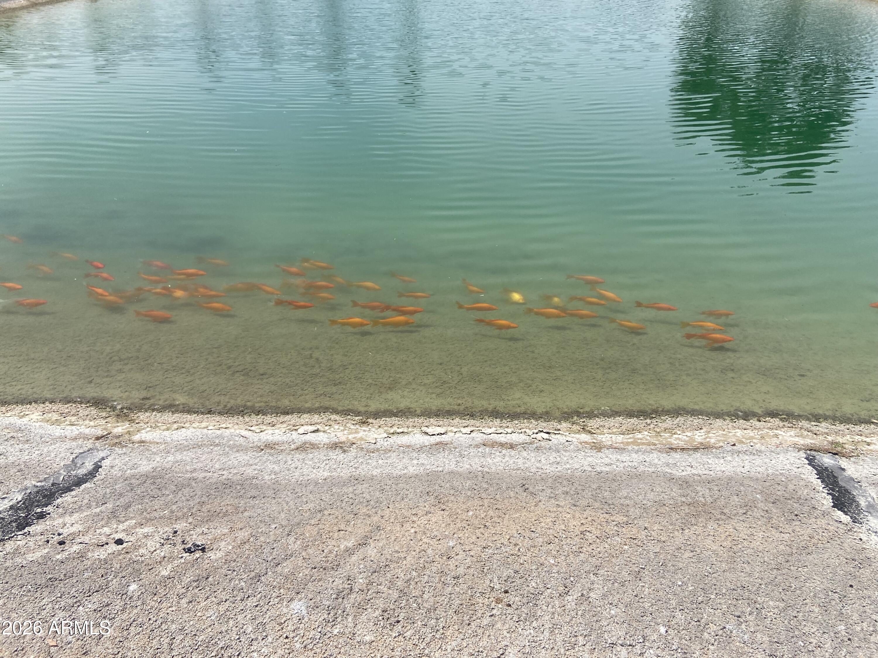 2229 S SEMINOLE Drive 229