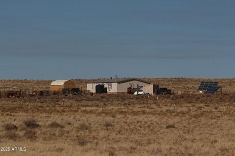 A home in Concho