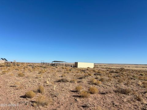 A home in Concho