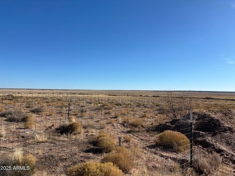 A home in Concho