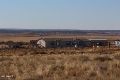 A home in Concho