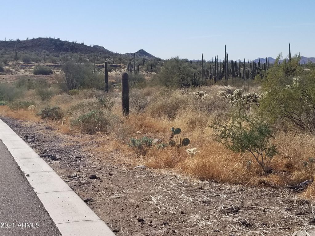 Photo of 3100 E Saddle Mountain Road #-, Cave Creek, AZ 85331 (MLS # 6336034)