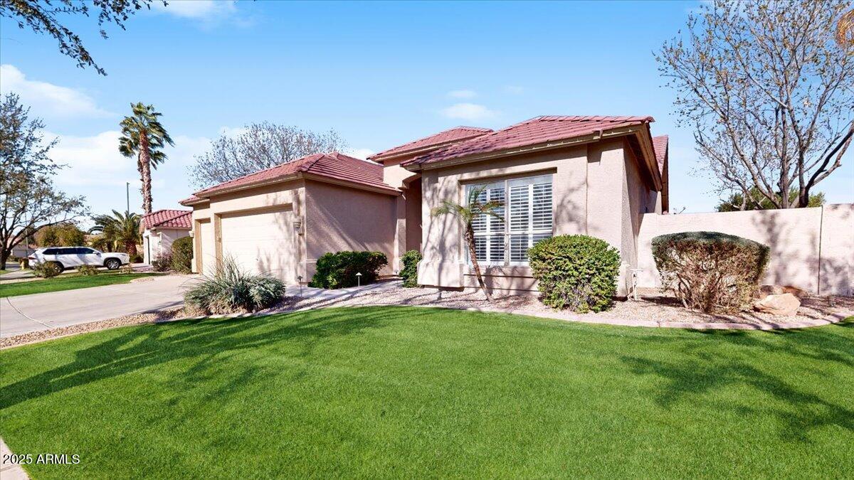 4823 S OLEANDER Drive
