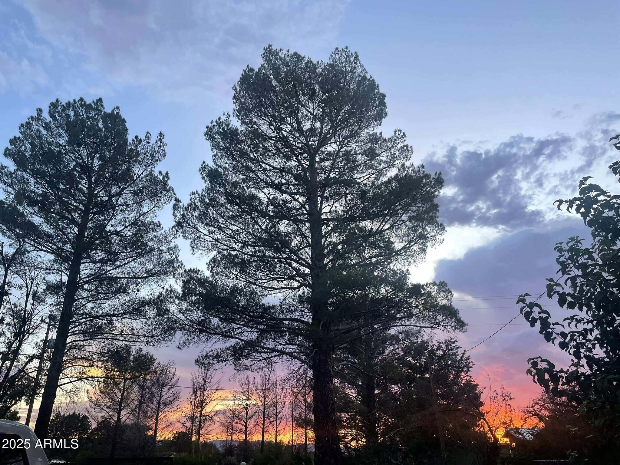 9097 N MONTIE Avenue