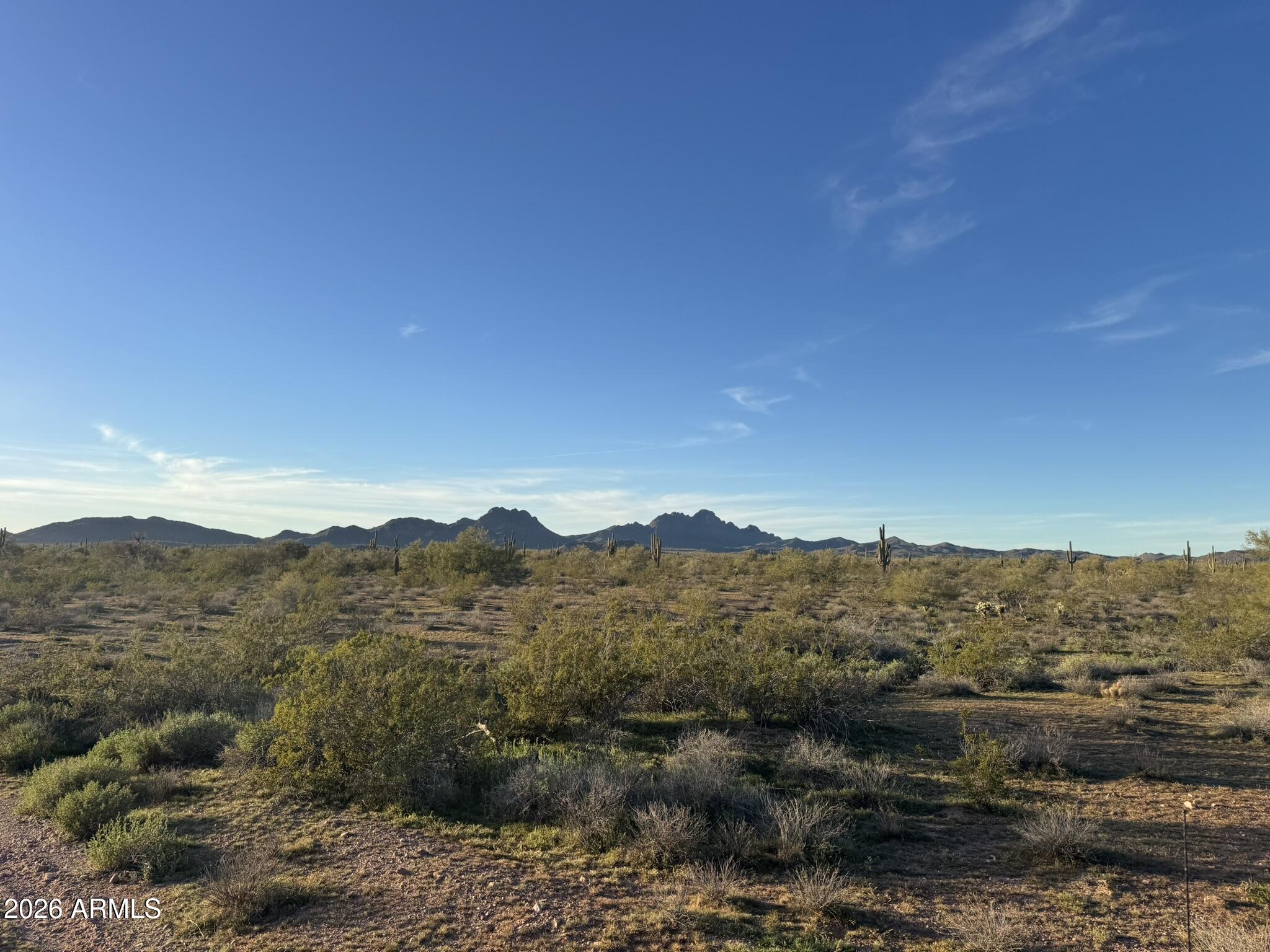 XX00 N 315th Avenue 32