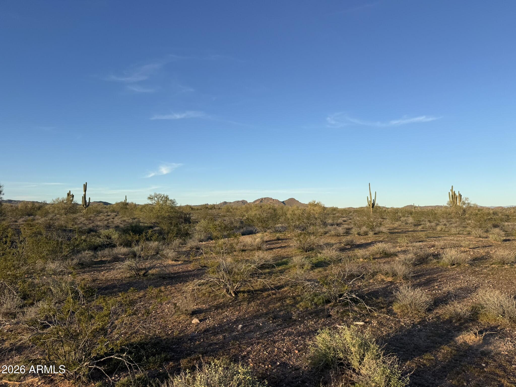 XX00 N 315th Avenue 32