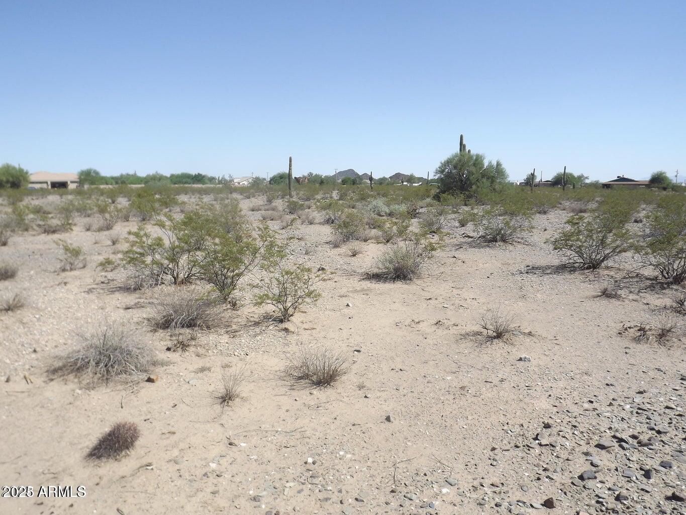 164xx W Dixeleta Drive 1