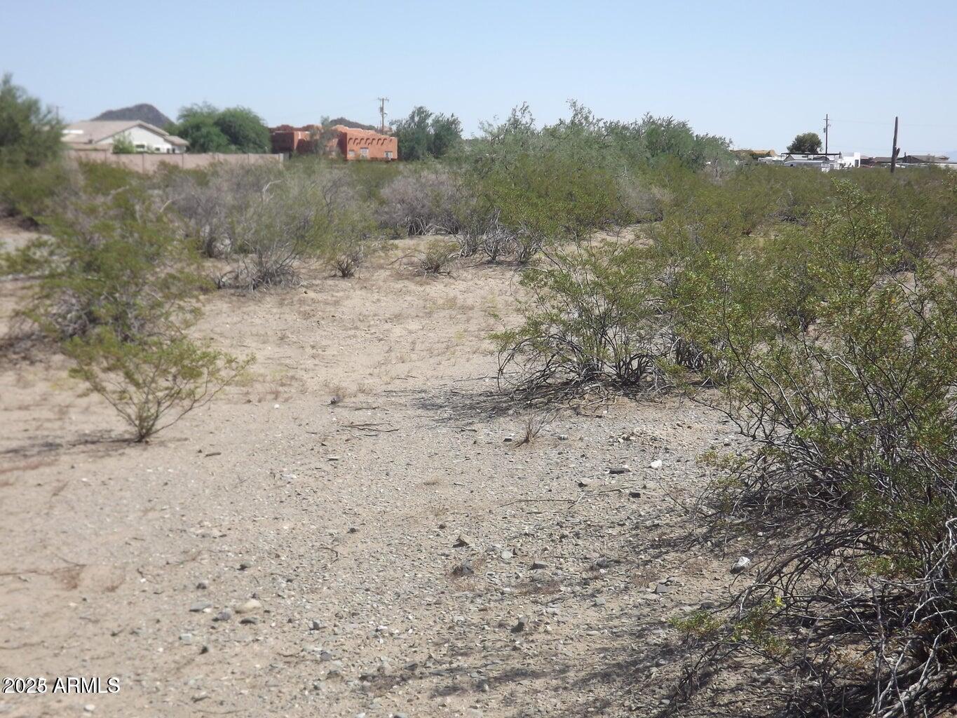 164xx W Dixeleta Drive 1