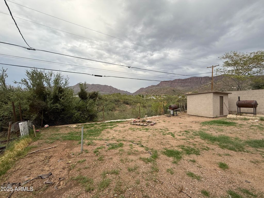 Photo of 113 W Palo Verde Drive, Superior, AZ 85173 (MLS # 6935477)
