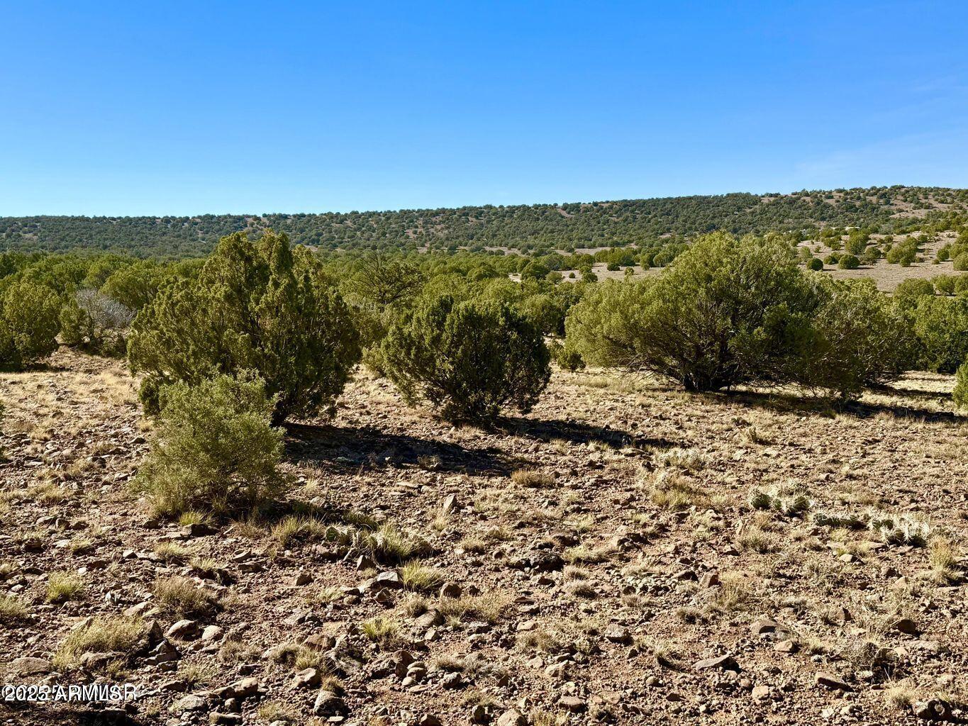 TBD Kirkland DR 20 Acres -- -